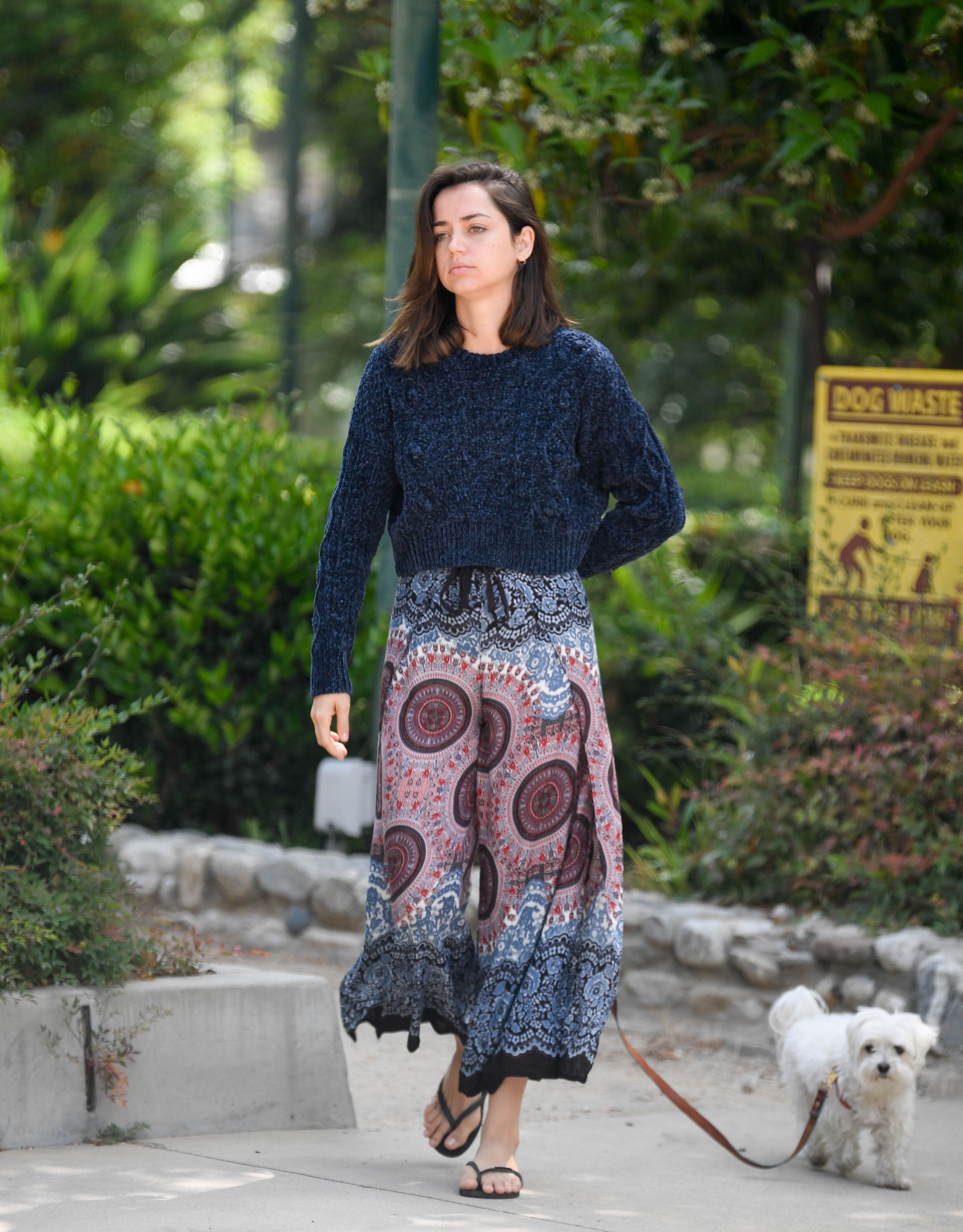 Ana de Armas walks with her dog in Los Angeles 2019/07/19