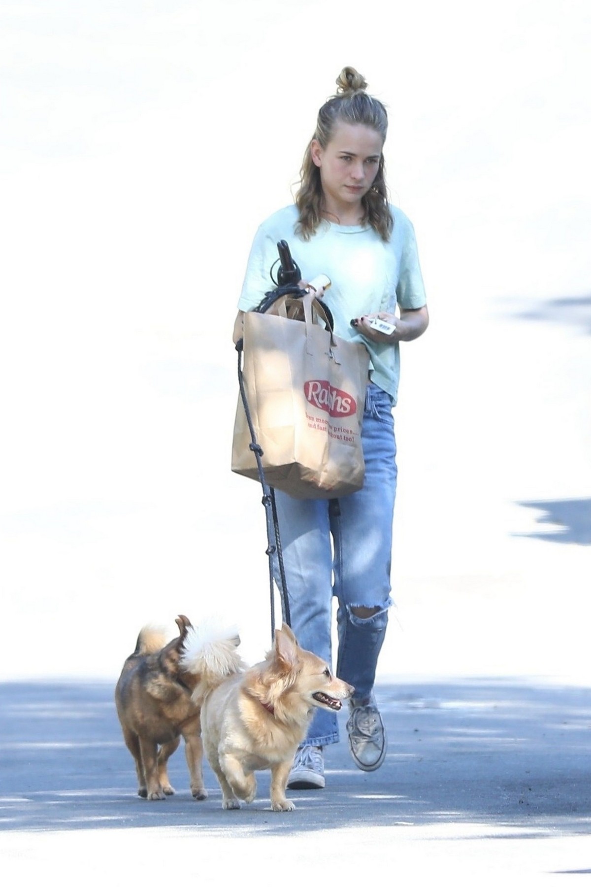 Britt Robertson walks her dogs in Los Angeles 2019/07/23