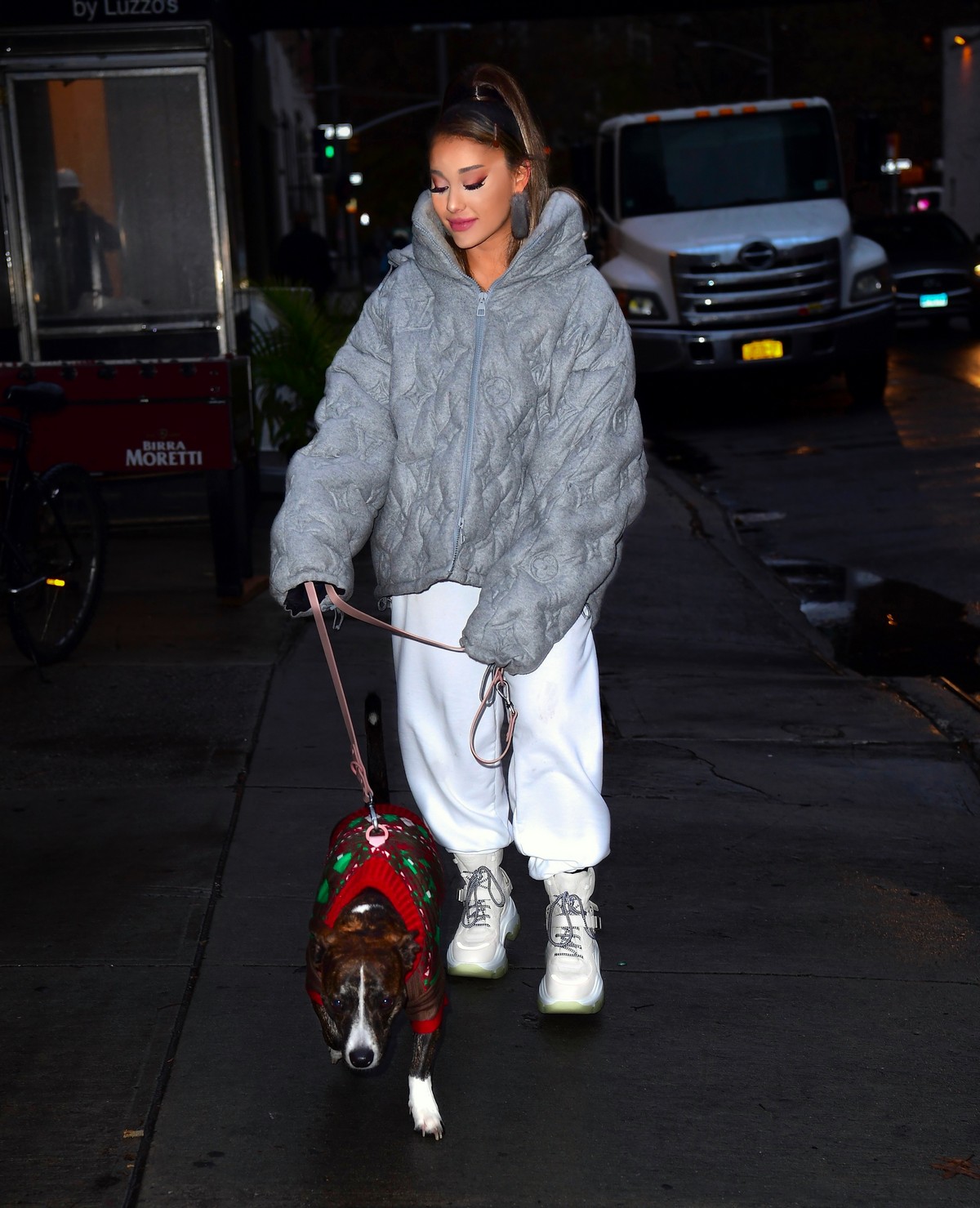 Ariana Grande walk with her dog out and about in New York City 2019/11/18