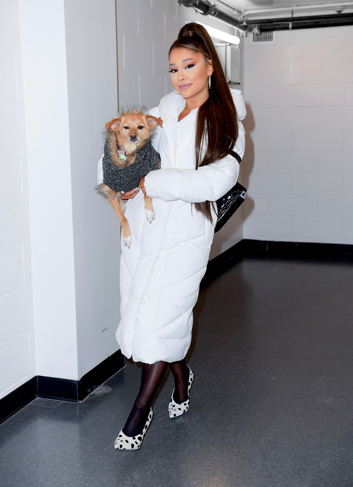 Ariana Grande with her dog on backstage at her Sweetener World Tour Concert in Charlottesville, Virginia 2019/11/16