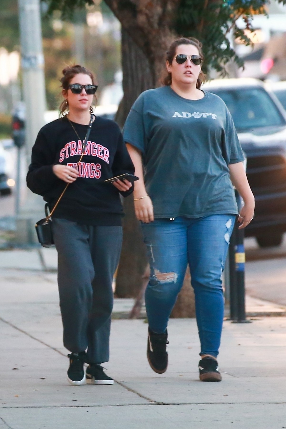 Ashley Benson with Her Friend go to a Pet Hospital in Los Angeles 2019/11/22