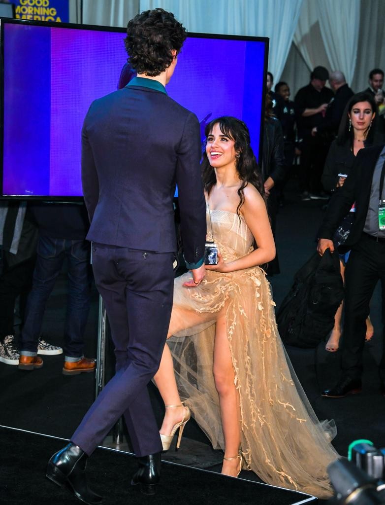 Camila Cabello and Shawn Mendes at 2019 American Music Awards in Los Angeles 2019/11/24