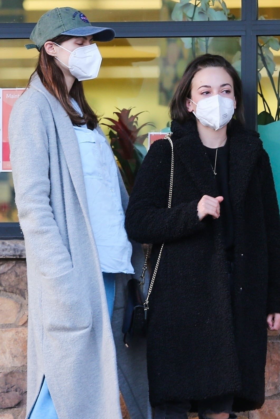 Alexandra Daddario shopping for groceries with a friend in Los Angeles 2020/04/02