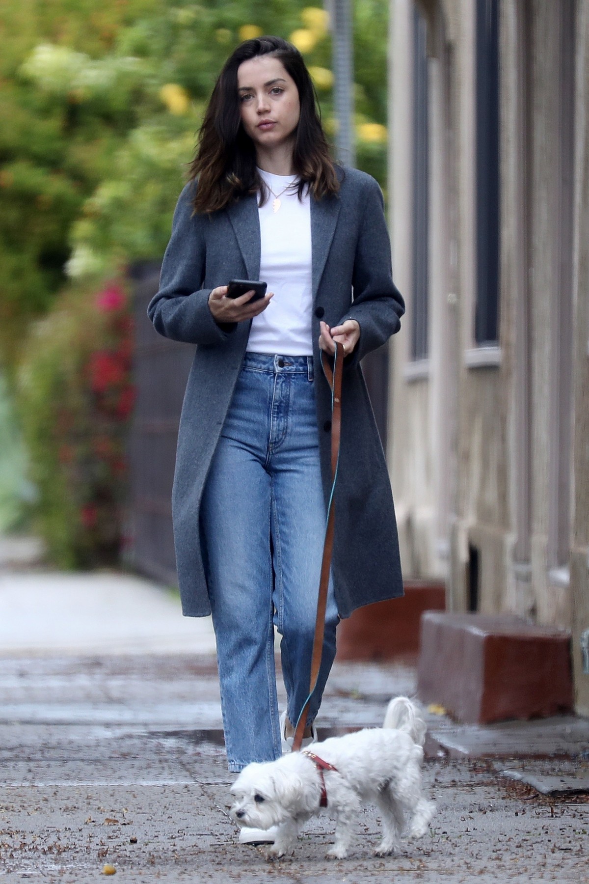 Ana De Armas with her cute puppy out in Los Angeles, California 2020/04/11