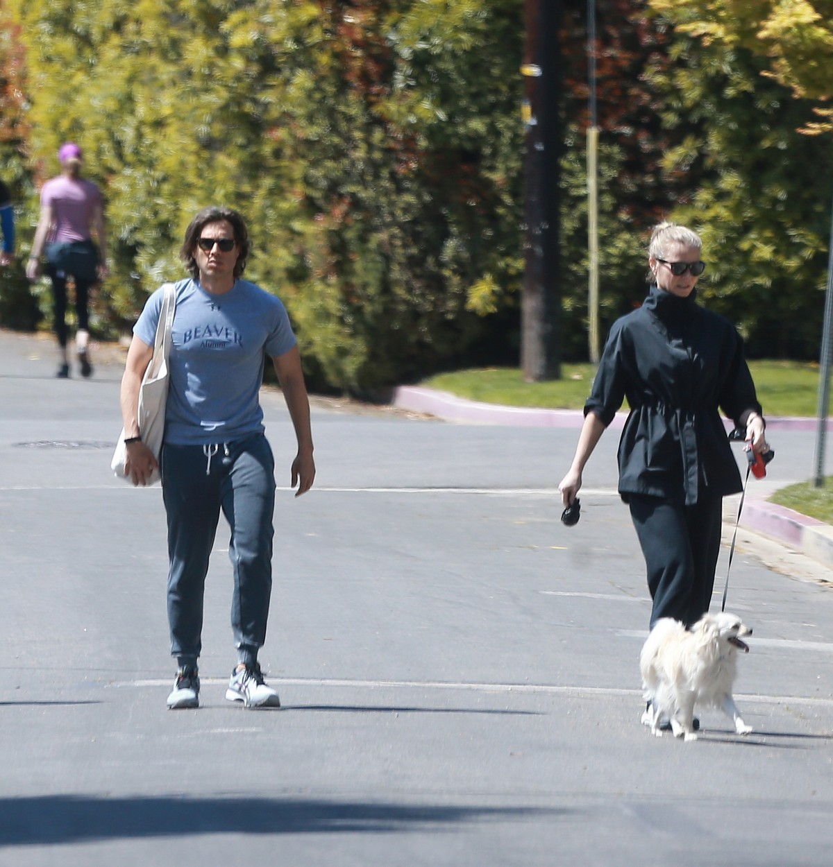 Gwyneth Paltrow walks the dog out in Los Angeles, California 2020/03/30