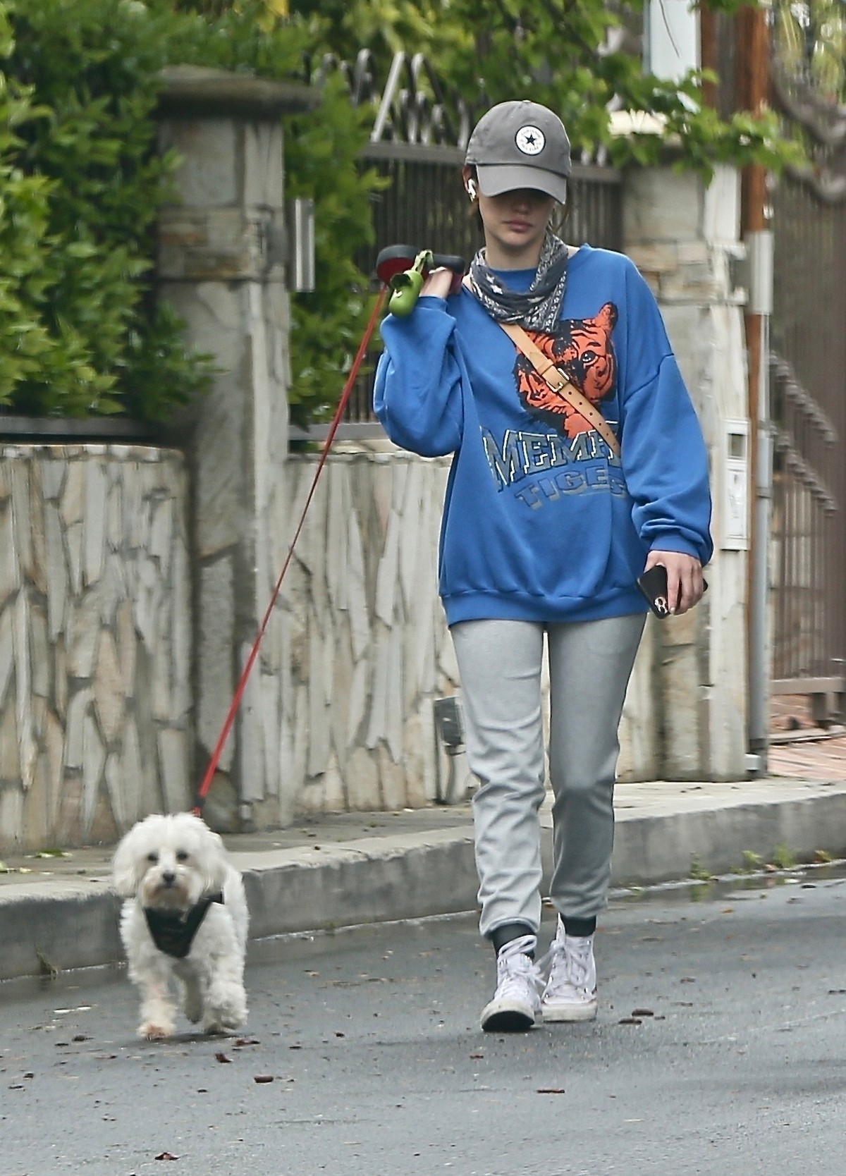 Lucy Hale evening walk with her puppy out in Los Angeles 2020/04/10