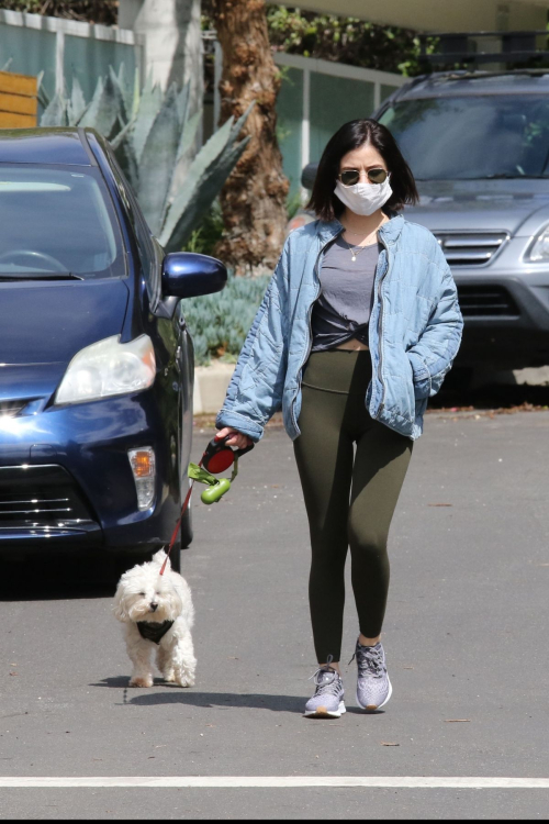 Lucy Hale follows mask during walks her dog Elvis in Los Angeles 2020/04/13 9