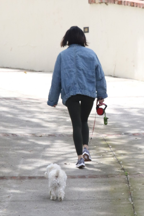 Lucy Hale follows mask during walks her dog Elvis in Los Angeles 2020/04/13 3