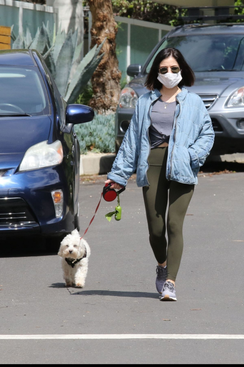 Lucy Hale follows mask during walks her dog Elvis in Los Angeles 2020/04/13 1