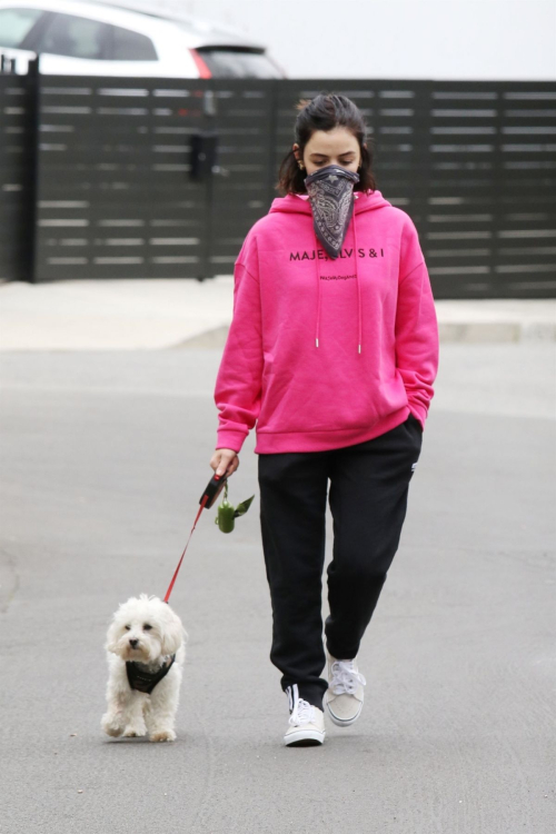 Lucy Hale for a walk on Easter Sunday with her sister and her dog in Studio City 2020/04/12 9