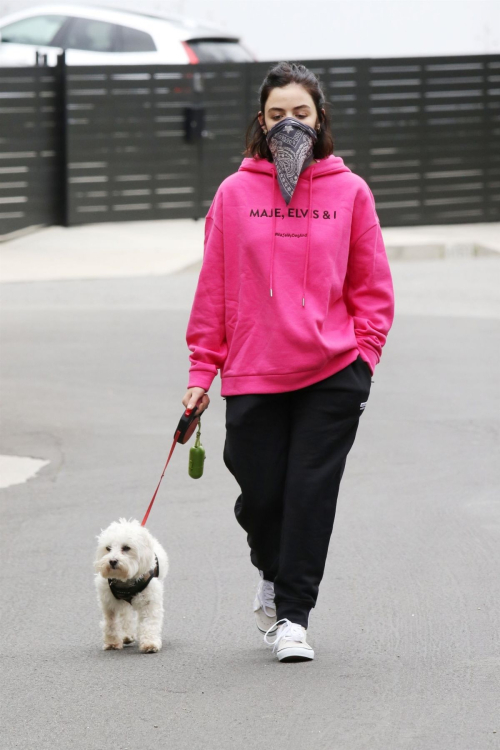 Lucy Hale for a walk on Easter Sunday with her sister and her dog in Studio City 2020/04/12 2