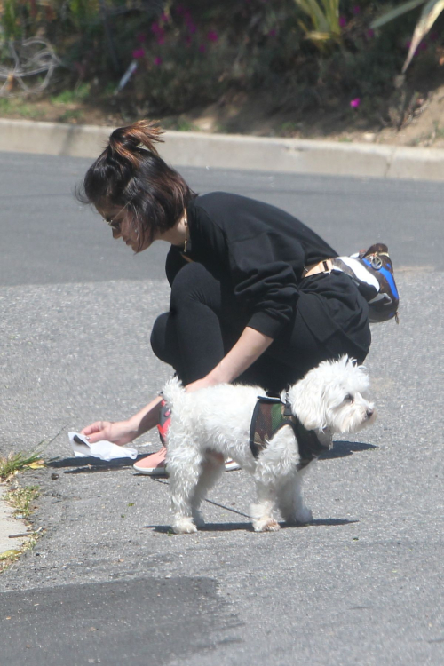 Lucy Hale for a walk with her dog Elvis in Los Angeles 2020/04/01 9