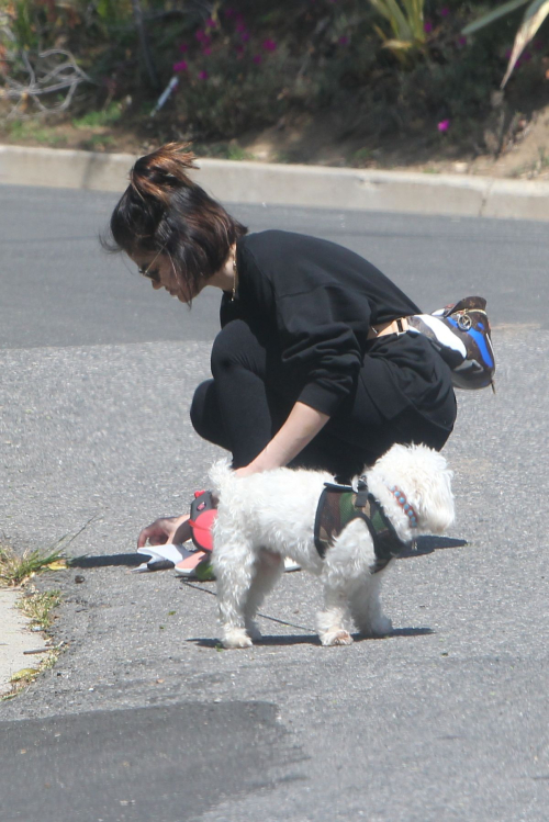 Lucy Hale for a walk with her dog Elvis in Los Angeles 2020/04/01 10