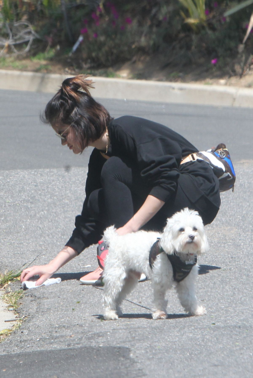 Lucy Hale for a walk with her dog Elvis in Los Angeles 2020/04/01 3