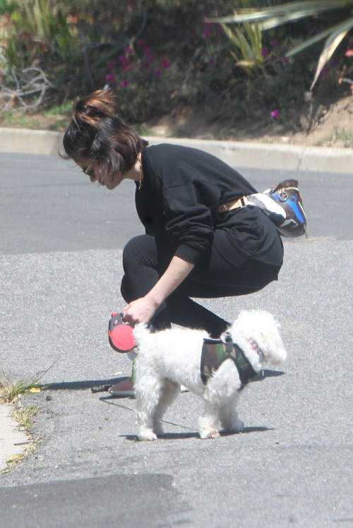 Lucy Hale for a walk with her dog Elvis in Los Angeles 2020/04/01 7