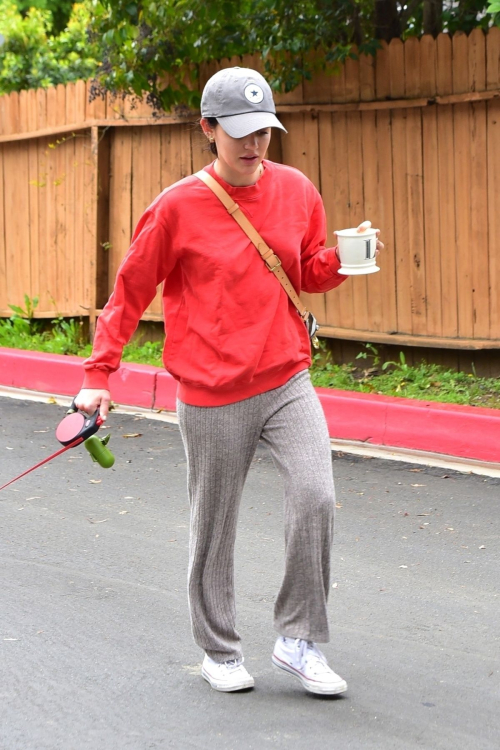 Lucy Hale out for walking her dog Elvis in Los Angeles 2020/04/08 10