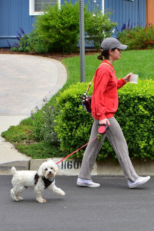 Lucy Hale out for walking her dog Elvis in Los Angeles 2020/04/08 11