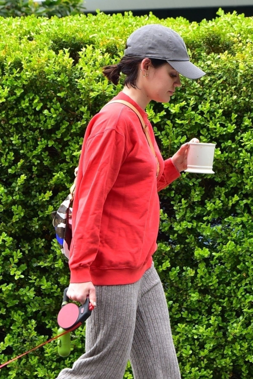 Lucy Hale out for walking her dog Elvis in Los Angeles 2020/04/08 12