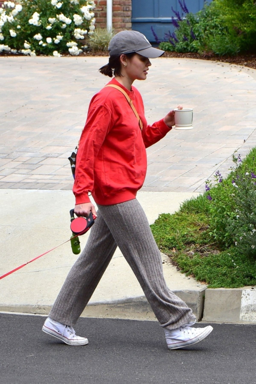 Lucy Hale out for walking her dog Elvis in Los Angeles 2020/04/08 1