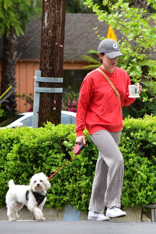 Lucy Hale out for walking her dog Elvis in Los Angeles 2020/04/08 4