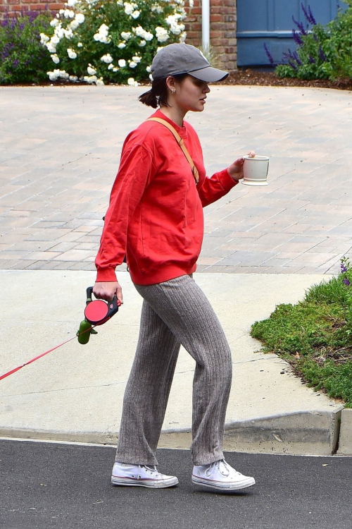 Lucy Hale out for walking her dog Elvis in Los Angeles 2020/04/08