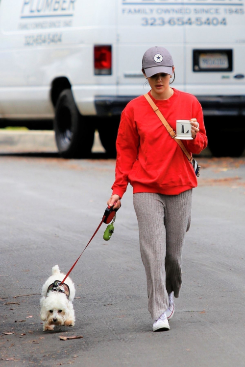 Lucy Hale out for walking her dog Elvis in Los Angeles 2020/04/08 5