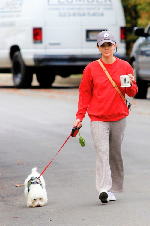 Lucy Hale out for walking her dog Elvis in Los Angeles 2020/04/08 6