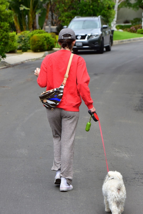 Lucy Hale out for walking her dog Elvis in Los Angeles 2020/04/08 8