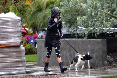 Nina Dobrev walk with her dog out in West Hollywood 2020/04/11 12