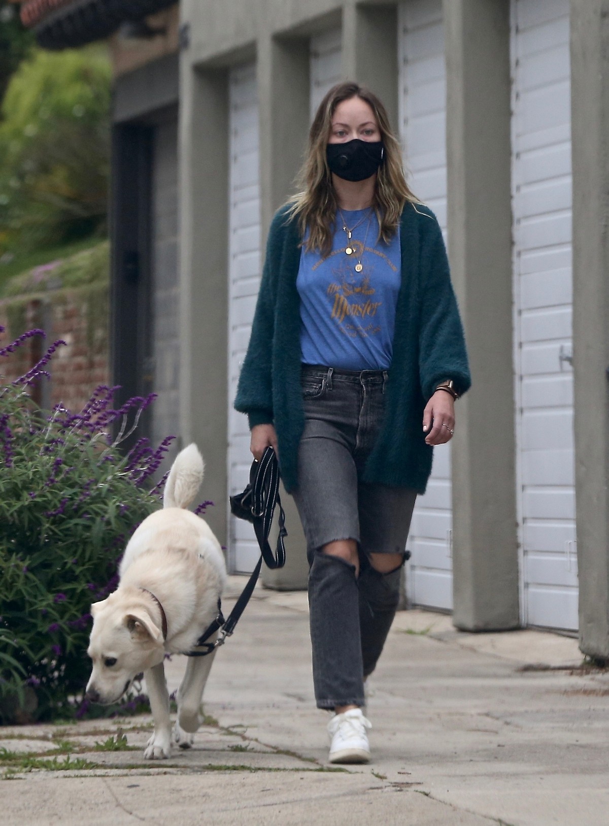 Olivia Wilde enjoy outside with her daughter and dog in Los Angeles 2020/04/12