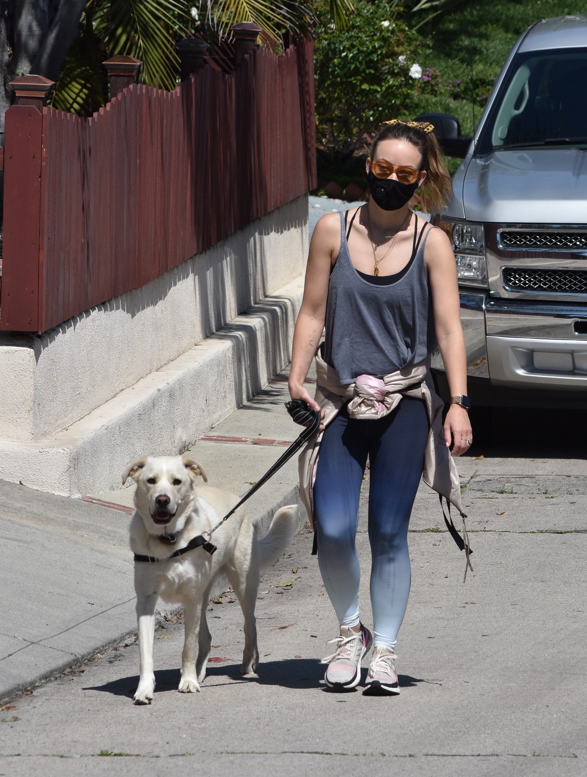 Olivia Wilde goes on a walk with her dog in Los Feliz, California 2020/04/11