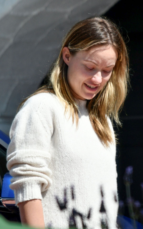 Olivia Wilde makeup-free during Quarantine out in Silverlake, California 2020/04/14 3