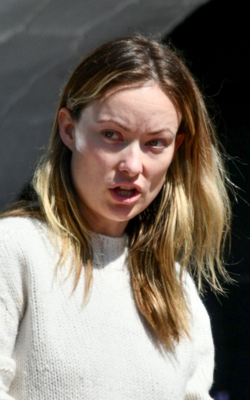 Olivia Wilde makeup-free during Quarantine out in Silverlake, California 2020/04/14 6