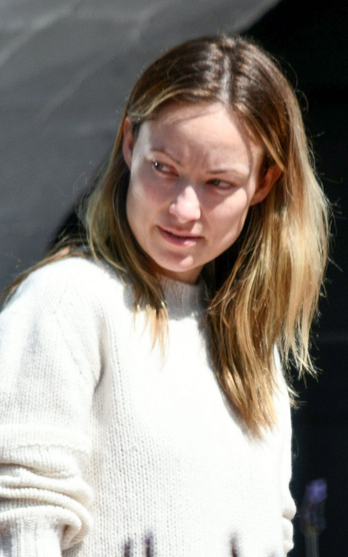 Olivia Wilde makeup-free during Quarantine out in Silverlake, California 2020/04/14 8