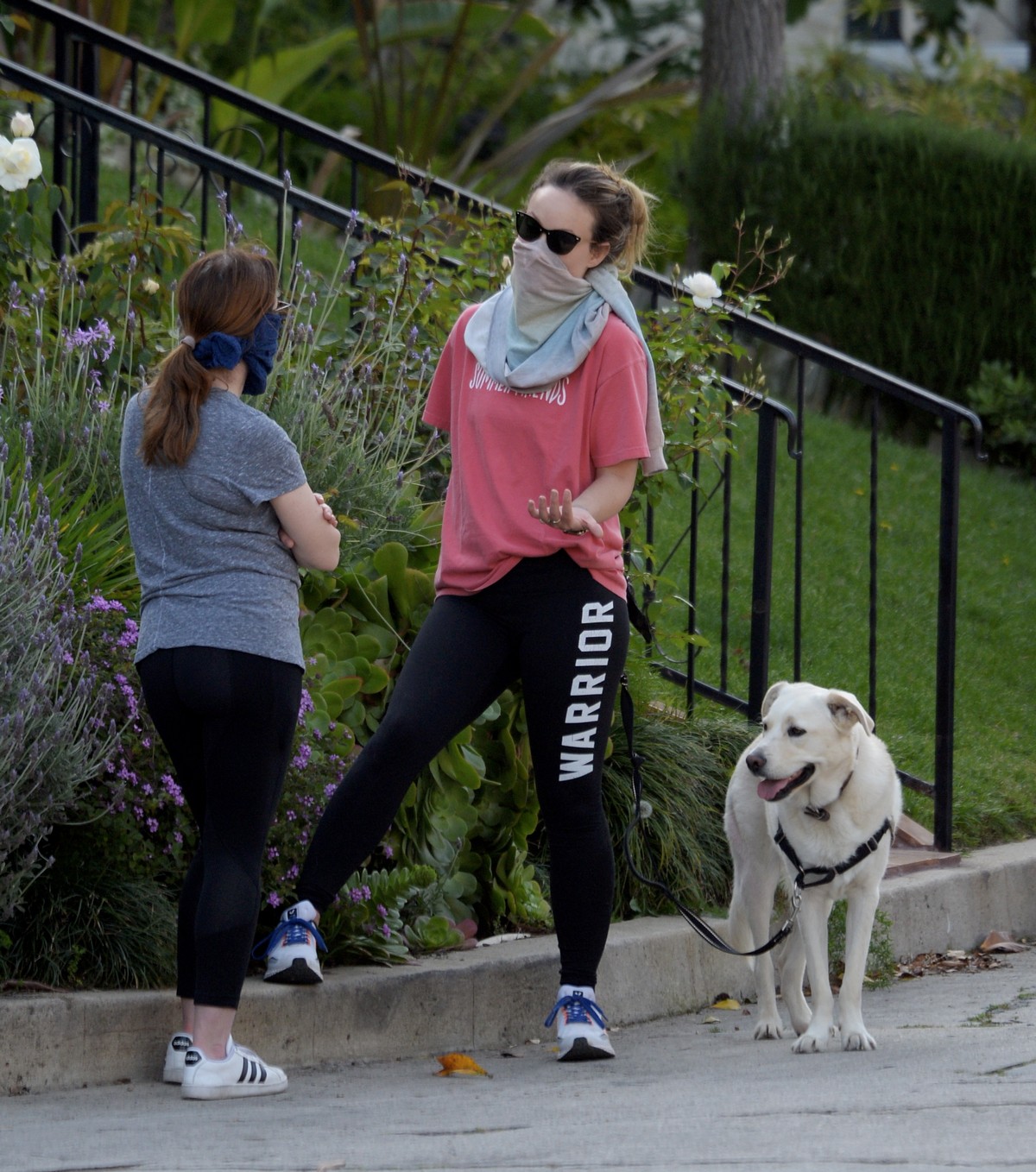 Olivia Wilde out for walking her dog in Los Angeles 2020/04/02