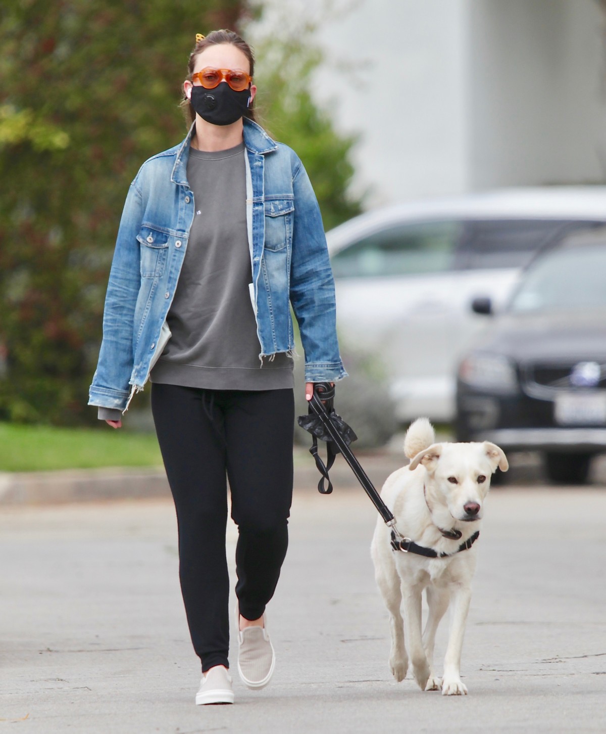 Olivia Wilde Out for walks her dog in Los Angeles 2020/04/05