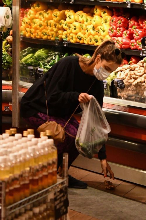 Alessandra Ambrosio Out Shopping in Los Angeles 2020/06/20 2