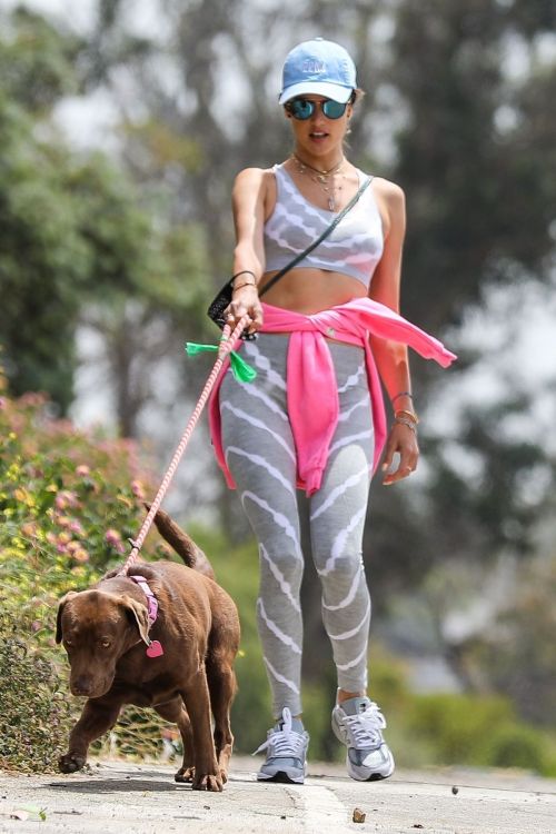 Alessandra Ambrosio Out with Her Dog in Pacific Palisades 2020/06/02