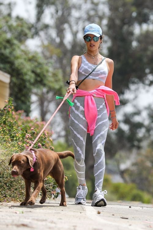 Alessandra Ambrosio Out with Her Dog in Pacific Palisades 2020/06/02 2