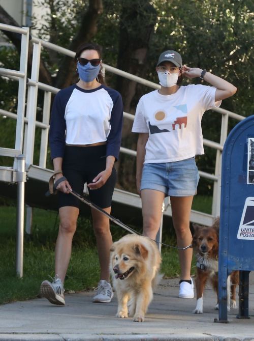 Aubrey Plaza Out with Her Dogs in Los Feliz 2020/06/11 8