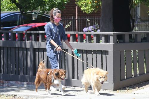 Aubrey Plaza Out with Her Dogs in Los Feliz 2020/06/14 3