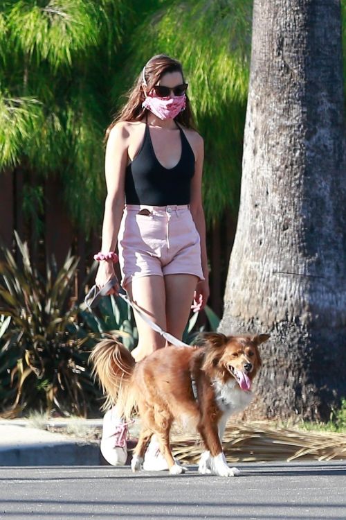 Aubrey Plaza Walks Her Dogs Out in Los Feliz 2020/06/10 8