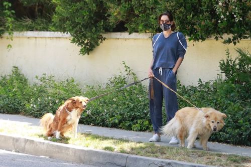 Aubrey Plaza Walks Her Dogs Out in Los Feliz 2020/06/13 10