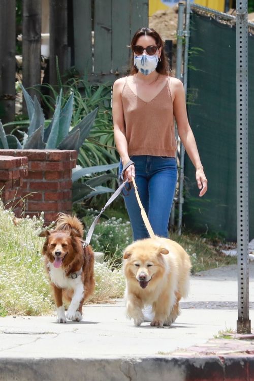 Aubrey Plaza Walks with Her Dogs Out in Los Feliz 2020/06/06 1