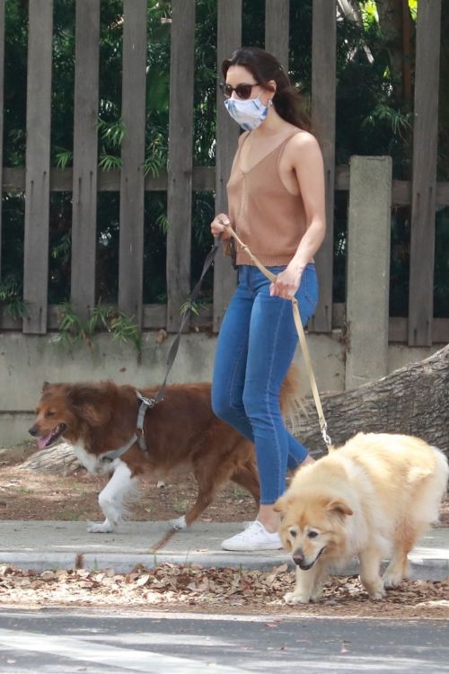 Aubrey Plaza Walks with Her Dogs Out in Los Feliz 2020/06/06 3