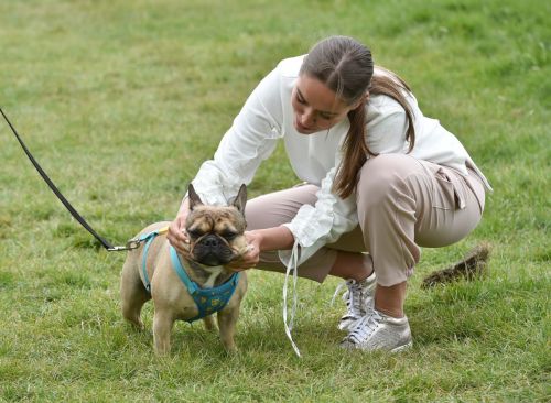 Chloe Ross Out with her Dog in Chigwell 2020/06/06 2