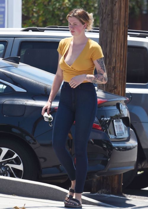 Ireland Baldwin Out and About in Los Angeles 2020/06/11 3