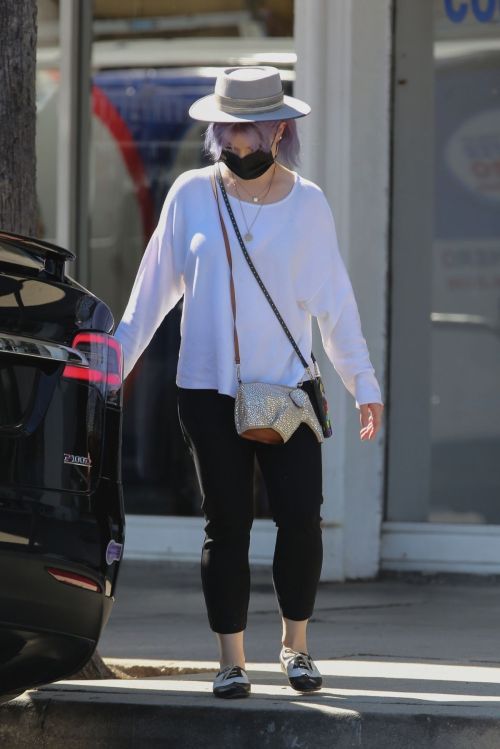 Kelly Osbourne at Healthy Spot Pet Supply Store in Los Angeles 2020/06/10 9