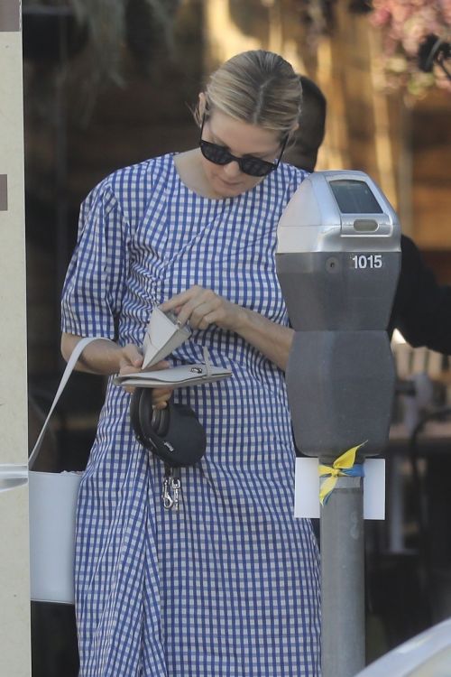 Kelly Rutherford Out with Her Dogs in Santa Monica 2020/06/10 6