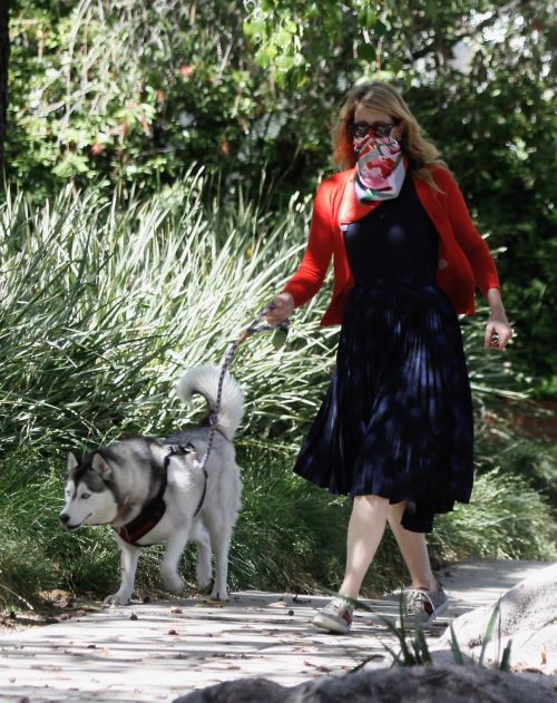 Laura Dern Out with Her Dogs in Santa Monica 2020/06/07 1